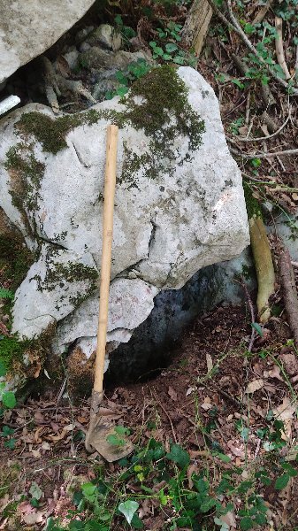 IMG_20250630_153346.jpg
Fichier manquant