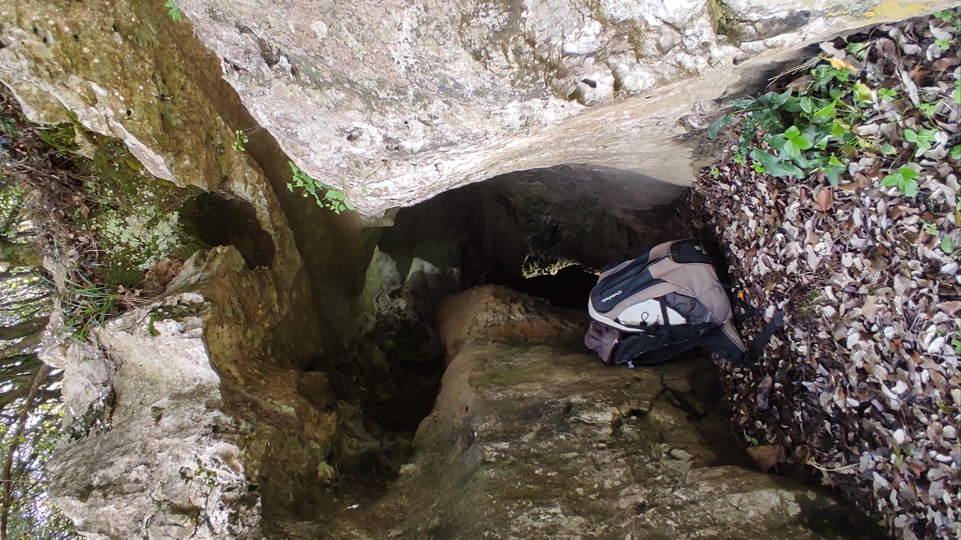 IMG_20250516_155904.jpg
Fichier manquant