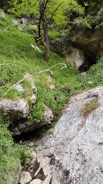 IMG_20250508_155935.jpg
L'émergence temporaire, quelques mètres en dessous de la cueva baja de Campuvijo
Fichier manquant