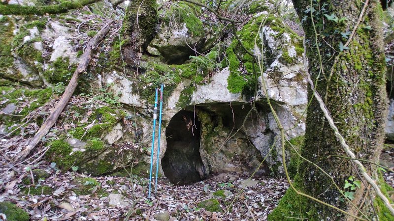 IMG_20250516_172139.jpg
Entrée de la cueva del Risco dans une des barres rocheuses de la forêt del Risco.
Fichier manquant