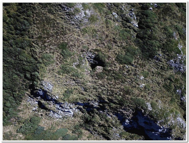 Drone CR1 Sheep
Fichier manquant