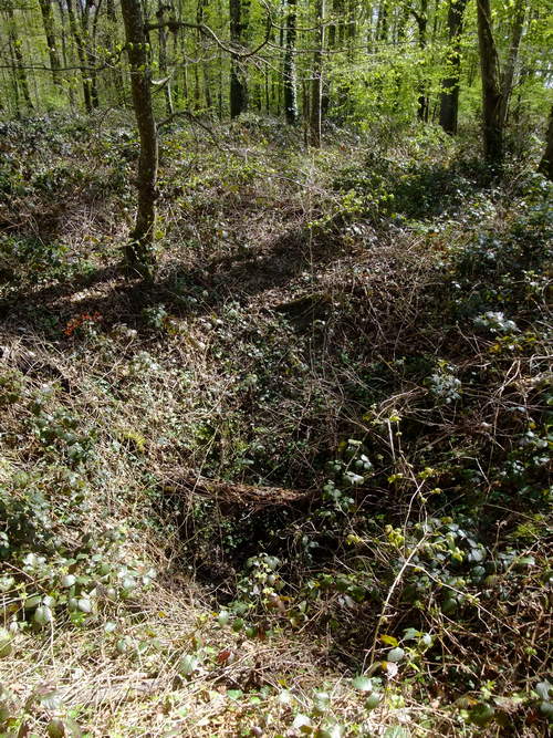 Photo 10217006 (doline)
Fichier manquant
