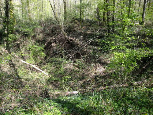 Photo 10217007 (doline-perte)
Fichier manquant