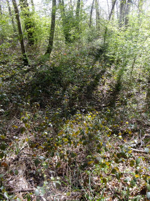 Photo 10217012 (doline)
Fichier manquant