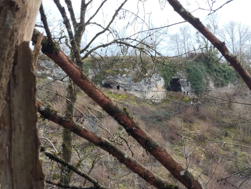 Grottes rive gauche du vallon de Créancey
Vue prise au-dessus du captage, rive droite du vallon, au bord de l'A.36. Les 2 porches à gauche correspondent à l'entrée 1, le gros porche à droite à l'entrée 2.
Fichier manquant