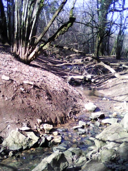 Perte principale à l'étiage.
Les pertes n'ont pas pu être pénétrées lors d'une désobstruction effectuée par des spéléos dijonnais. En crue, le niveau d'eau monte de plusieurs mètres, jusqu'à la base du Rocher de Creutte (voir Trous souffleur et Grotte Lucas). Le niveau hydrostatique est réputé atteindre le point le plus bas de la salle du Creux Percé (info orale). Les traçages ont cocloré la Douix de Baulme-la-Roche.
Fichier manquant