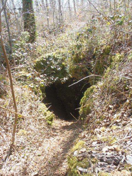 Entrée du Trou du Chien (n° 1)
Entrée au milieu des broussailles (un sentier est taillé en 2025). GPS conseillé.
Fichier manquant