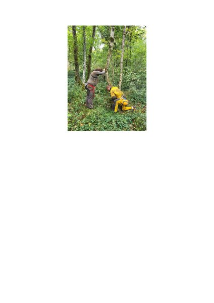 Entrée Gouffre Bois de l-Ermitage
Vue du gouffre.
Fichier manquant