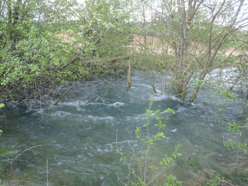 Puits Carré en crue
Il s’agit d’une grosse émergence temporaire jouant probablement le rôle de cheminée d’équilibre sur l’aval du réseau de Francheville. Elle s’ouvre à 1300 m à l’ouest de la source pérenne du Creux-Bleu.
Fichier manquant