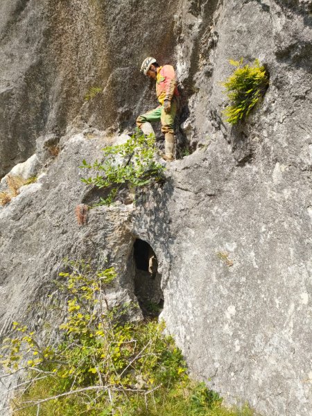 Entrée
Fichier manquant